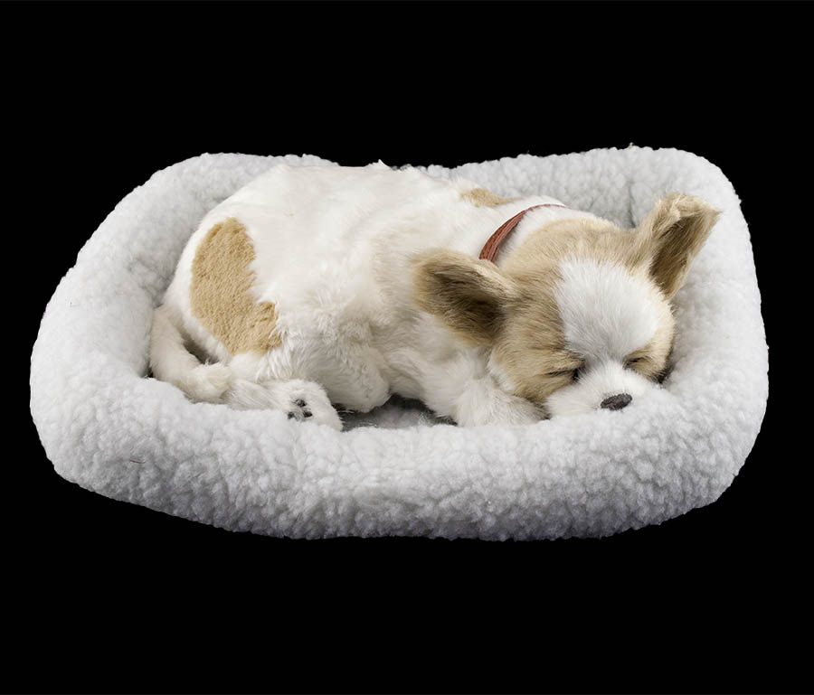 Perfect Petzzz schlafender Chihuahua White Tan Hund Soft Kuscheltier